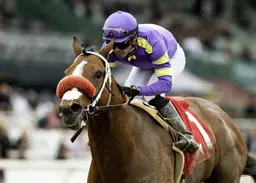 Brad Free's Horses to Watch at Del Mar for the week of Aug. 20-23, 2026