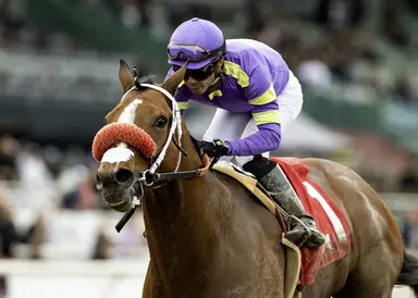 Brad Free's Horses to Watch at Del Mar for the week of Aug. 20-23, 2026