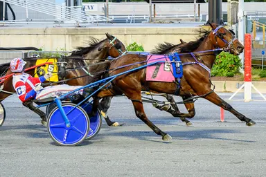 Harrington:  Hawaiian Warfare makes in seven straight triumphs in DSBF final