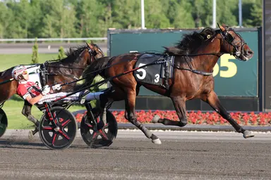 Woodbine Mohawk Park:  Neighver Punt victorious in Goodtimes Stakes final