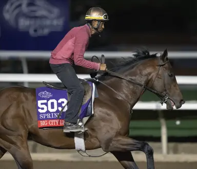 Big City Lights, after allowance victory, will run in Thor's Echo