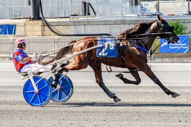 Harrington:  Trotters wrap up their DSBF eliminations
