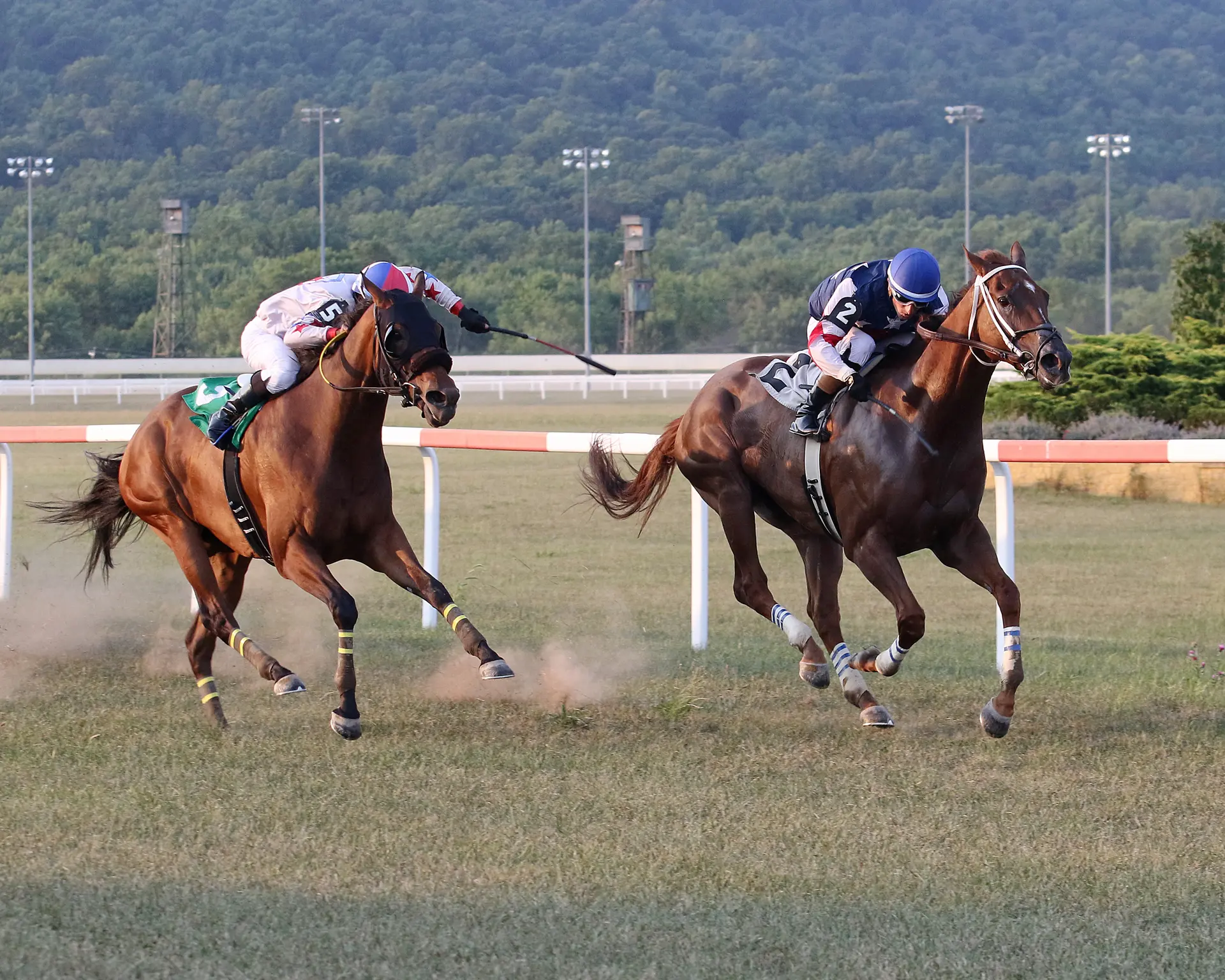 Bartlett holds on to win Governor's Cup by a neck