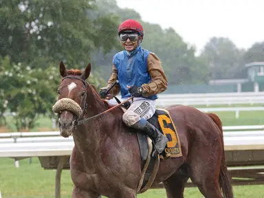 Subsandor tops Wathnan group headed to Dubai for winter