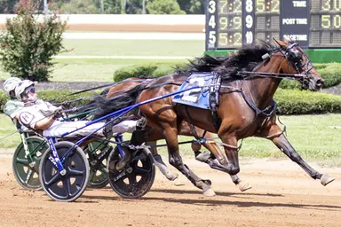 Woodbine Mohawk Park: Rookie fillies take center stage in Mohawk Million