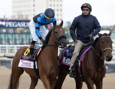 Weekend GamePlan for March 28, 2026: Picks for Orchid, Sand Springs, Oaklawn Mile