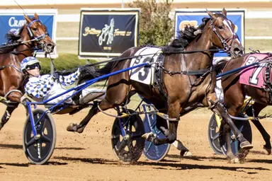 Red Mile:  Divine intervention not needed for Holy in International Stallion Stakes