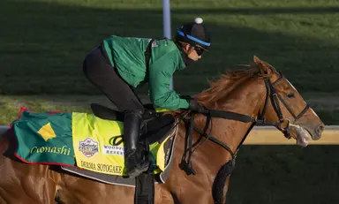 Kentucky Derby: Derma Sotogake works solo this time