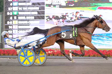 Woodbine Mohawk Park:  Rookie trotters tussle in Pure Ivory, Millard Farms finals