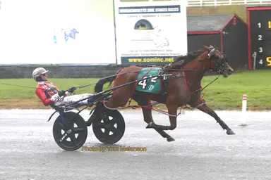 Plainridge:  Massachusetts Breeders Stakes begin