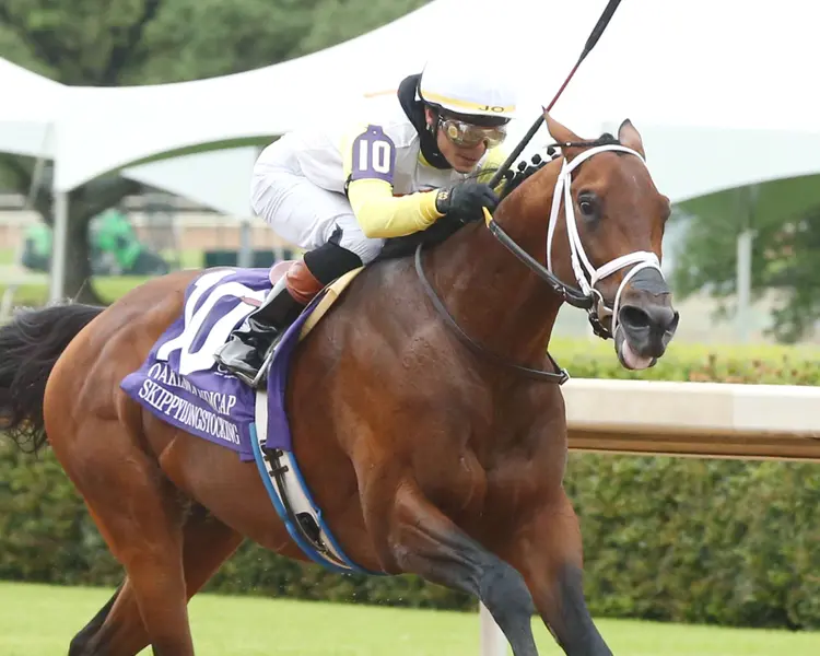 SKIPPYLONGSTOCKING - Oaklawn Handicap G2- 78th Running - 04-20-24 - R11 - Oaklawn Park Finish 02.jpg