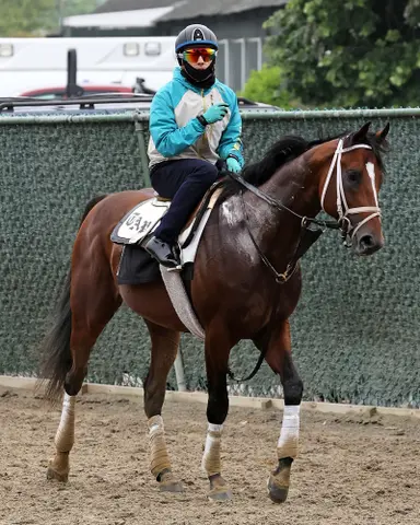 Repole sending Uncaged to run in Belmont Stakes