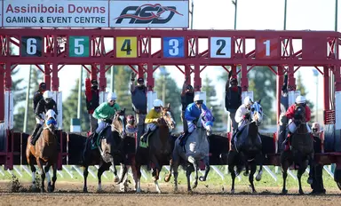 Picks and analysis for mandatory-payout Assiniboia Downs Jackpot Pick 5 on Sept. 20, 2023