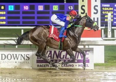 Debut stakes runner E Lion puts streak on line in John Henry
