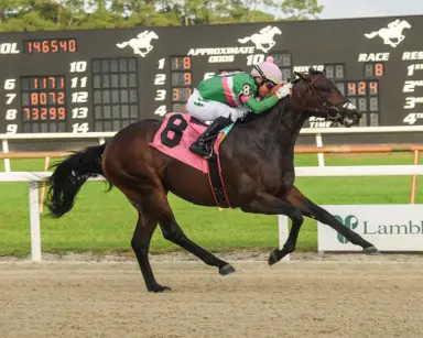 Weekend GamePlan: Picks for Sam F. Davis, San Marcos, Heavenly Prize