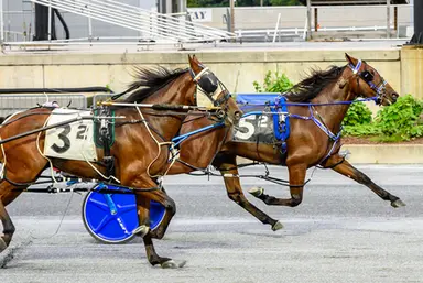 Harrington:  Hawaiian Warfare stays sharp in DSBF