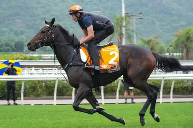 Australia: Jimmysstar favored in Memsie Stakes