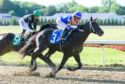 Chip Honcho catches Ocelli in final strides to take Ohio Derby