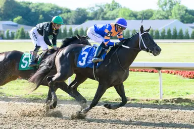 Chip Honcho catches Ocelli in final strides to take Ohio Derby