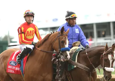 Usha, Iron Orchard make rare statebred appearances in Johnstone Stakes