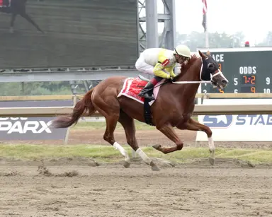 Reid splitting up stakes winners after big day