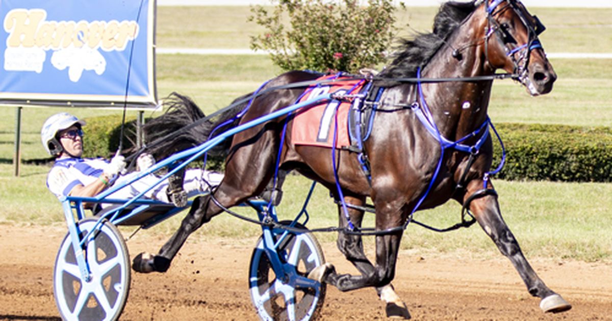 Harness: Beau Jangles joins Harrisburg mixed sale catalog