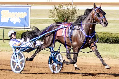 Red Mile:  Beau Jangles, Brandon Blvd pace 1:47 2/5 miles in Bluegrass Stakes