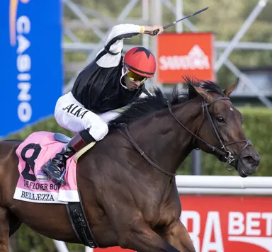 Bellezza at favorite distance in Robert G. Dick Memorial