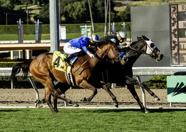 Brad Free's Santa Anita Horses to Watch for the week of Feb. 20-22, 2026
