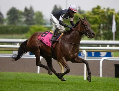Weekend GamePlan: Picks for Diana, Kelso, Blue Sparkler