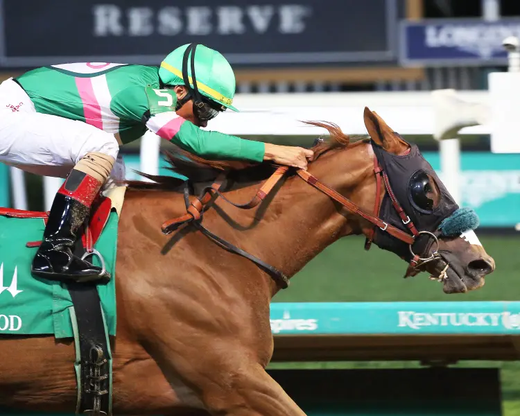 LADY RADLER - The Dogwood G3 - 48th Running - 09-23-23 - R10 - Churchill Downs - Finish 02.jpg