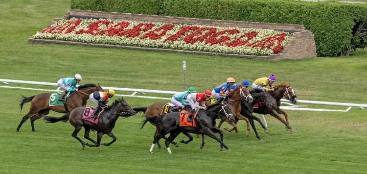 Saratoga scenic turf race with flowers01.7-4-26.DRO