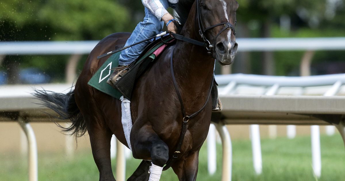 Mott confirms Sovereignty out of Jockey Club Gold Cup