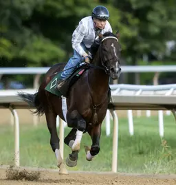 Mott confirms Sovereignty out of Jockey Club Gold Cup