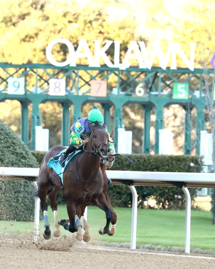 OSCAR'S HOPE - The Ozark Stakes - 02-16-26 - R09 - Oaklawn Park - Finish 02 - Kara West.jpg