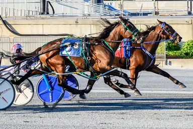 Harrington:  Hawaiian Warfare repeats in DSBF eliminations