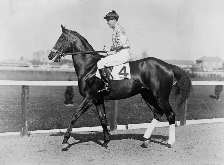 Keeneland Library Meadors Collection - Black Gold, H. Burke up, 01.08.1923.jpg