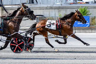 Harrington:  Warren's Charm, Lovers Cay double up in DSBF