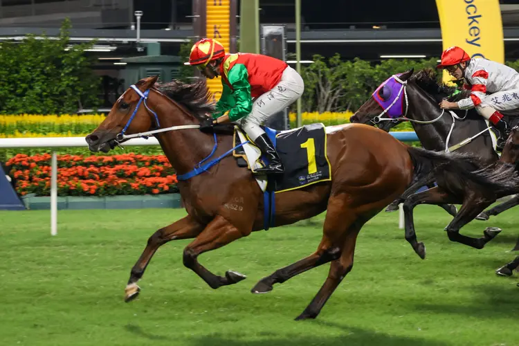 Jumbo Blessing/Happy Valley