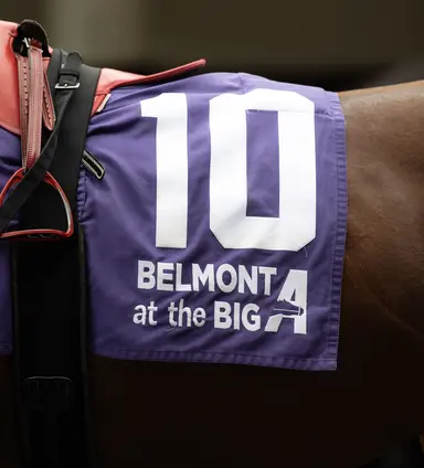 All-sources handle for final Belmont at the Big A meet ticks down