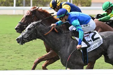 Walsh sweeps 3-year-olds stakes in dramatic fashion with Lion Lake, Vasy