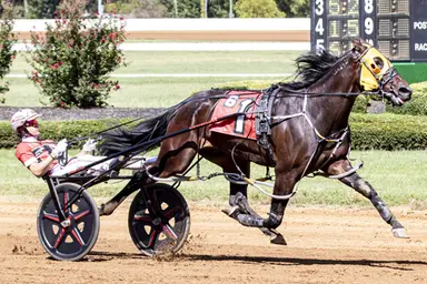 Red Mile:  No sweat for Captain Arturovico, Unreasonable in Kentucky Sire Stakes
