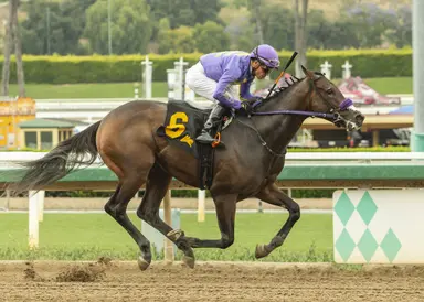 Del Mar 2-year-olds: Flightline's first California-based juveniles set to debut