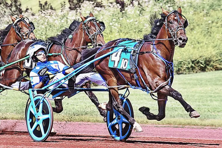 Shalom Hanover 8-3-26