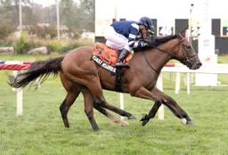 Coast Highway prevails in chaotic stretch run to win Laurel Futurity