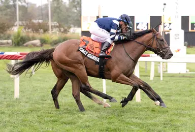 Coast Highway prevails in chaotic stretch run to win Laurel Futurity