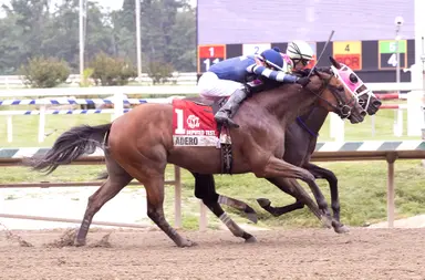 Barbadian Runner noses Adero in Deputed Testamony Stakes