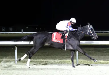 Favored Kentucky shipper Takemetothebeach in for optional tag