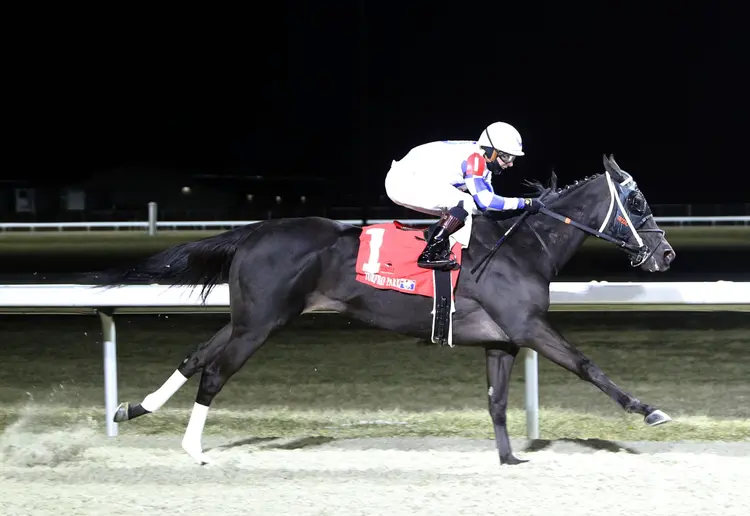 Takemetothebeach wins at TP Feb 14 2025