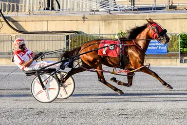Harrington:  Pacing fillies complete their first DSBF leg
